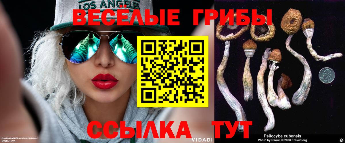 Галлюциногенные грибы Psilocybine cubensis Шебекино